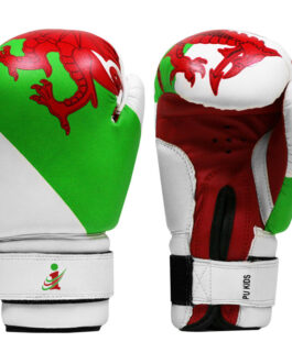 Boxing Gloves