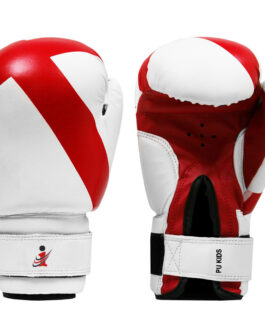 Boxing Gloves