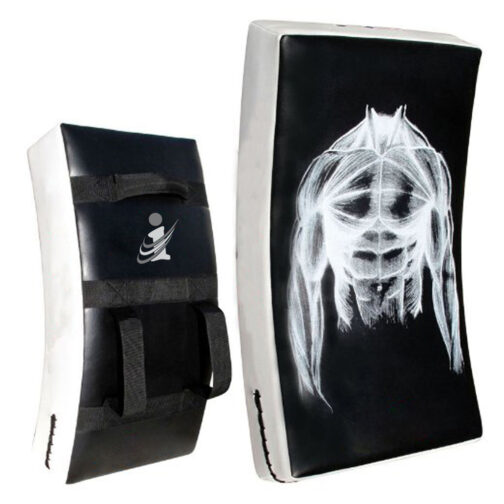 Training kick Shield