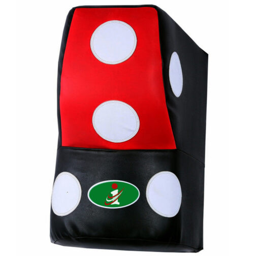 Training kick Shield